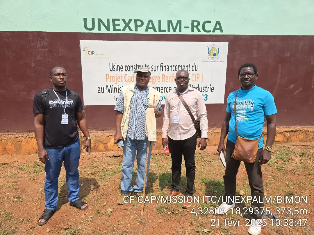 étude stratégique sur la filière huile de palme en Centrafrique
