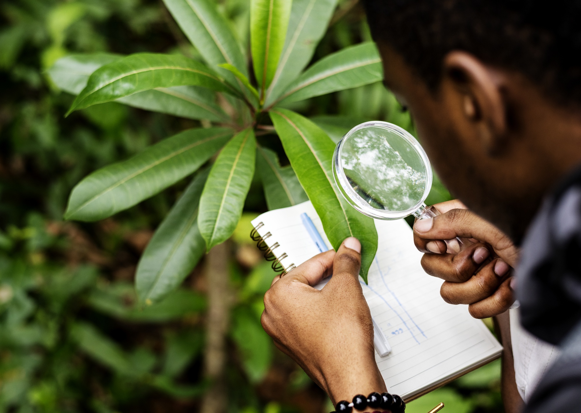 Expert SOPRESCI-AGRO sur le terrain