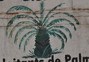 Logo RCA