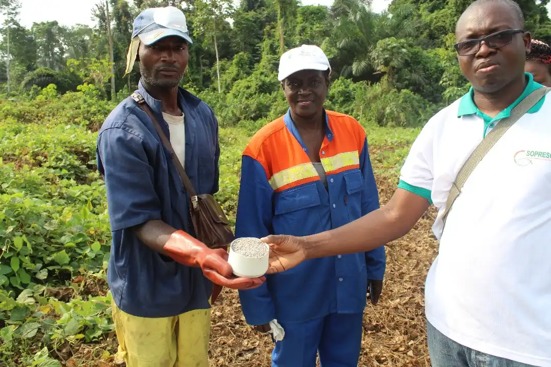 Formation phytosanitaire